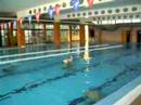 natacion sincronizada ucam (los naufragos)
