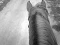 Kim - My Hose/Mein Pferd