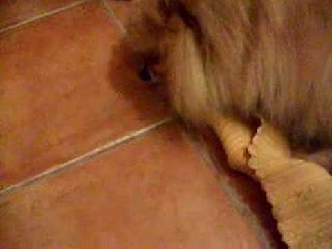 Dolce dormire