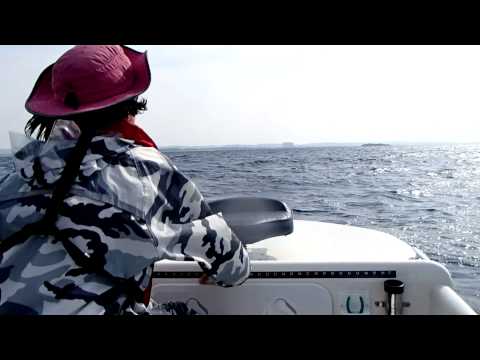 YouTube Preview Image