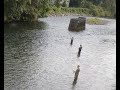 videos de Collaboration - Bryce Gillard provides a DFO perspective on cooperation and communication