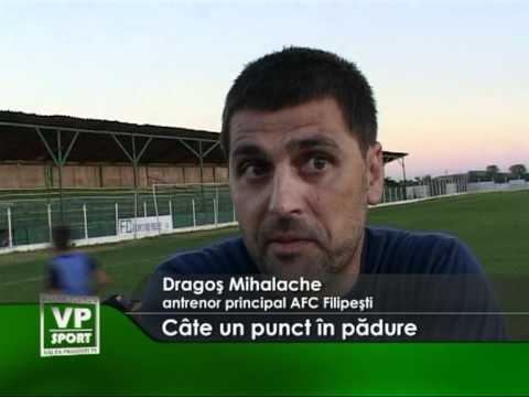 Cate un punct in padure