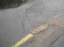 A entrada de agua das vias e imoveis na rede de esgoto é um dos mais importantes problemas ambientais de Londrina e das cidades