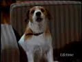 Frasier \"Three Valentines\" Frasier \"Three Valentines\"