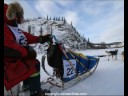 Yukon Quest 2008 - Sab Schnuelle Interview Yukon Quest 2008 - Sab Schnuelle Interview