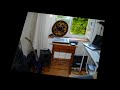 Estudio Flores