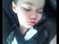 Andrew sleeping after a full day at the fairKarina (0725081622.3g2)