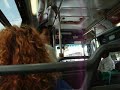 New Jersey Transit Nova Bus RTS #1291
