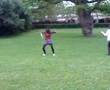 DANCE FEST 001