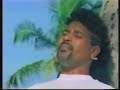stevie b