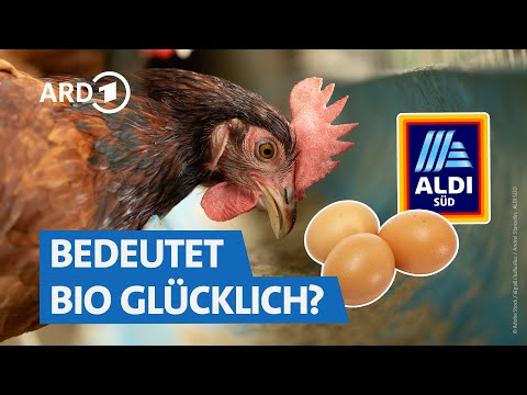 Bioeier von ALDI Süd: Die Mär von glücklichen Hühnern