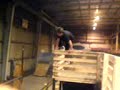 fattyz unco frontflip!