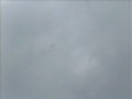 Model & HPR Rocket Launch Model & HPR Rocket Launch