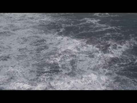 molly allis - HUFF THIS! music video shot and edited by Erinn Clancy