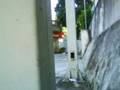 videos de drop wallride