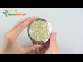 Lovely Dolphin Double Side Pocket Compact Stainless Makeup Mirror Yellow 2 Pcs - dinodirect