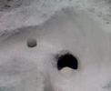 videos de Sand Ball Track Beach Sculpture