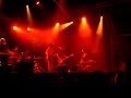 SURFIN BICHOS - PRIMAVERA SOUND 2006
