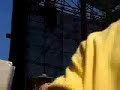 Violent Femmes -- Kiss Off, Live