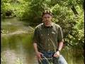 Michigan's Water & Wildlife