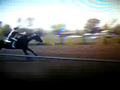 virginia barrel race