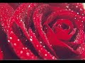 adoro il tango...adoro la musica di sergio...e perci� non posso non adorare un brano ricco di passionalit� come spiagge lontane...