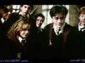  - MovieZen Video
