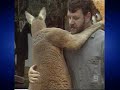 Kangaroo attacks Marty Monster fights nude