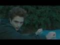 Animal I Have Become-Midnight Sun- Edward and Bella