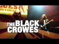 The Black Crowes Remedy Live