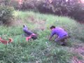 Pelea en manch�n