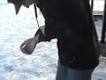 Firework Abuse