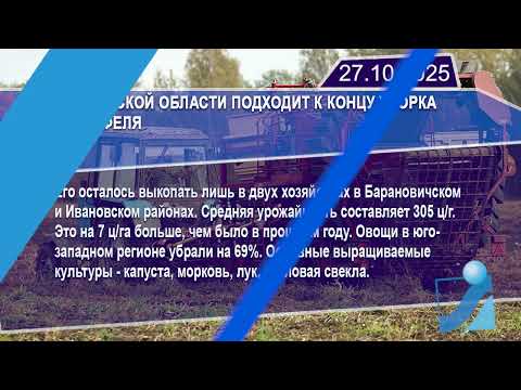 Новостная лента Телеканала Интекс 27.10.25.