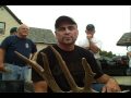 30 point buck taken by bow in Fond du Lac Wisconsin