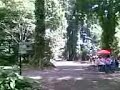 Great Botanical Garden