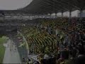 JEF-United-Chiba-fan