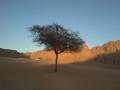 videos de VILORATOUR SHARM EL SHEIKH FUORISTRADA NEL DESERTO QUAD NEL DESERTO