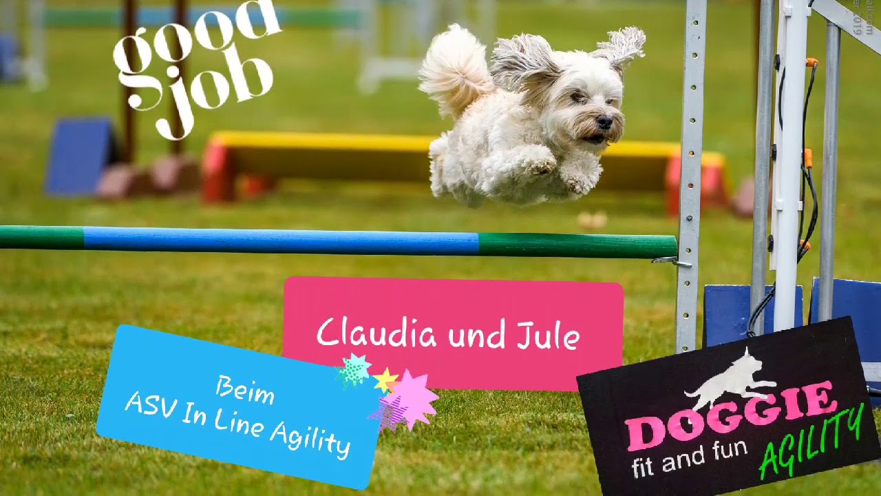 Agility A2 Claudia mit Mila und Jule Doggies on Tour!