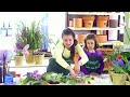 flowers-by-mercedes-intro-how-to-make-flower-food-.html