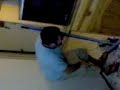 NEYDI VS LA RATA