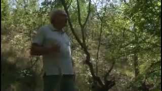 SABAH YILDIZI : SABAHATTİN ALİ