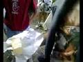 Rg1 : Bacha The Movie (Jackass)