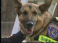 2007 Animal Hall of Fame - Hero