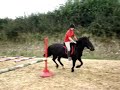Mabs Jumping - Sept \ Mabs Jumping - Sept \