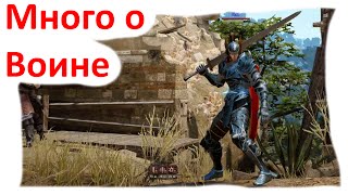 Black Desert Большой гайд по Воину Black Desert Большой гайд по Воину
