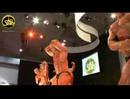 finale-der-fibo-2008-show.html