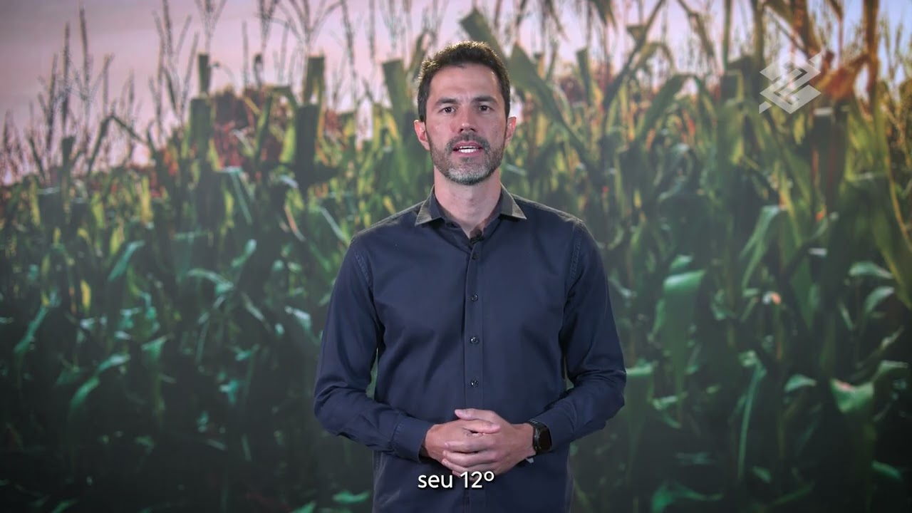 Cenários do agro: soja, milho, café e boi gordo | BBcast Agro – 15/09/2025