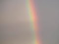 Rainbow T?cza 2004 r. Rainbow T?cza 2004 r.