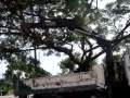 TK1602469 รถ6ล้อเครนกระบะดั้ม - YouTube