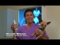 Video Thumbnail Image